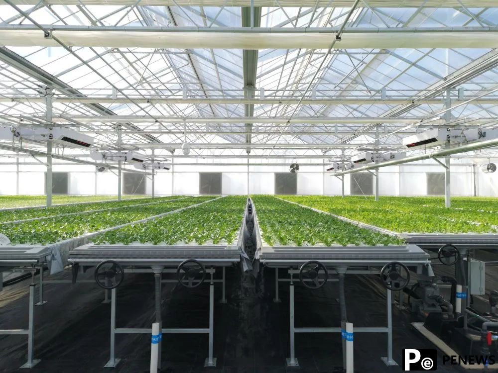 Xinmin in NE China sows seeds of success with digital agriculture