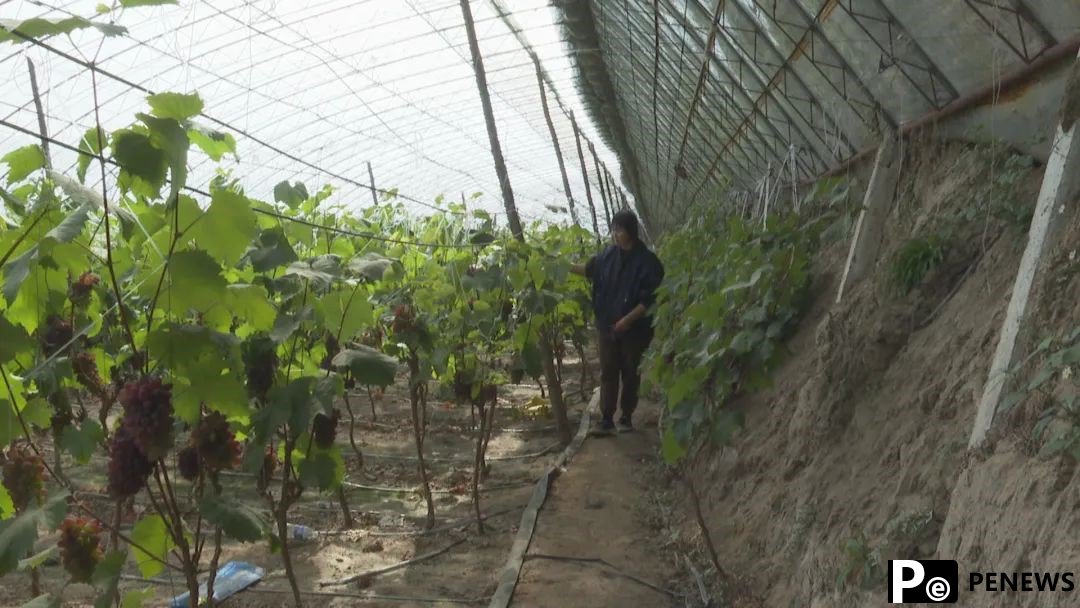 Xinmin in NE China sows seeds of success with digital agriculture