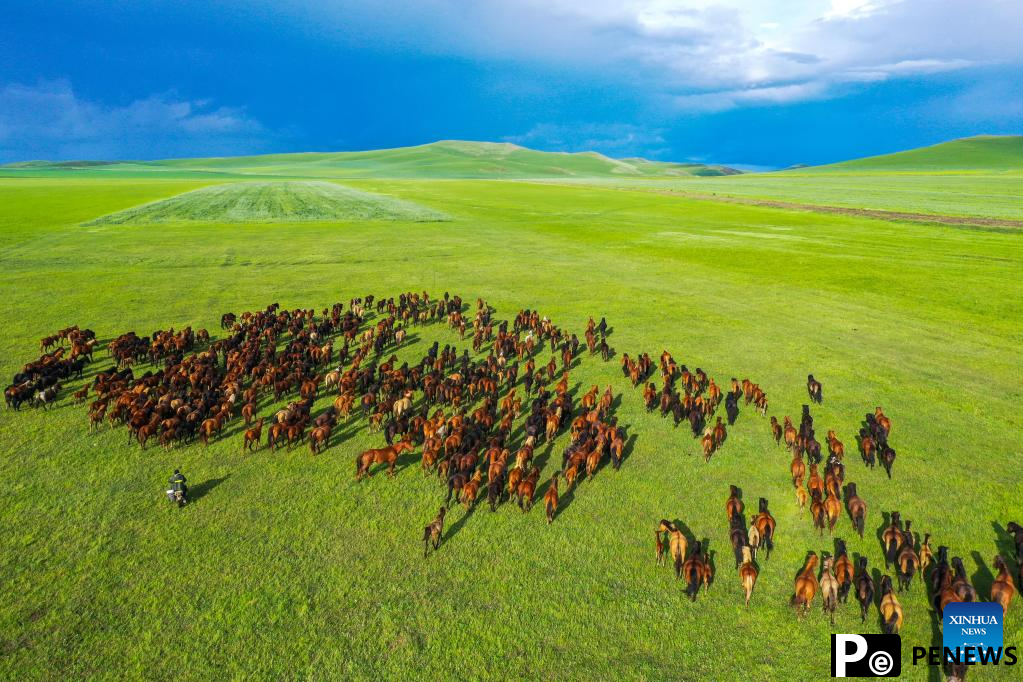 Scenery of grassland in Holin Gol, N China