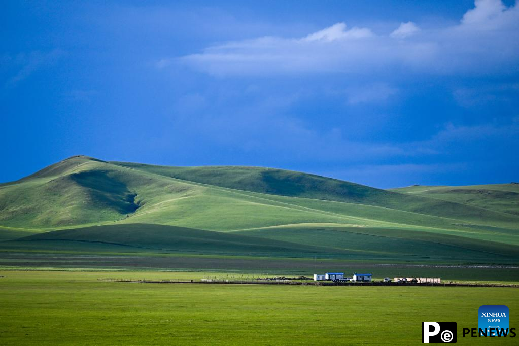 Scenery of grassland in Holin Gol, N China