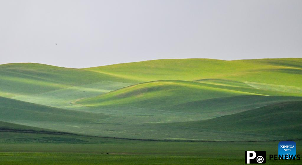Scenery of grassland in Holin Gol, N China