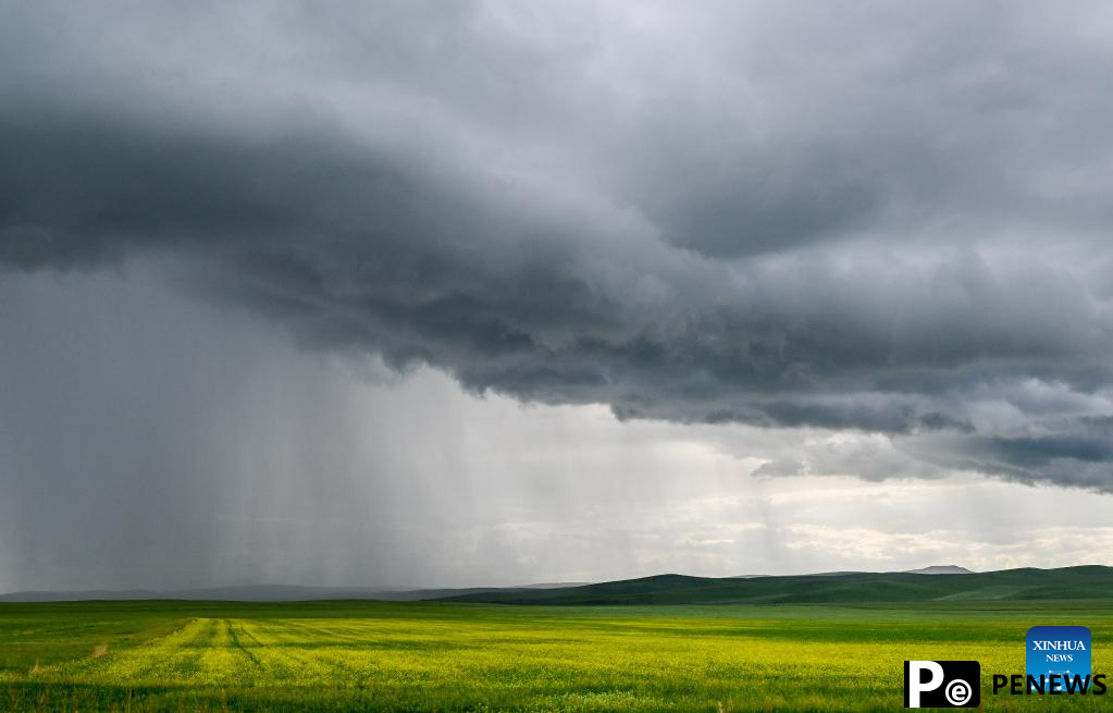 Scenery of grassland in Holin Gol, N China