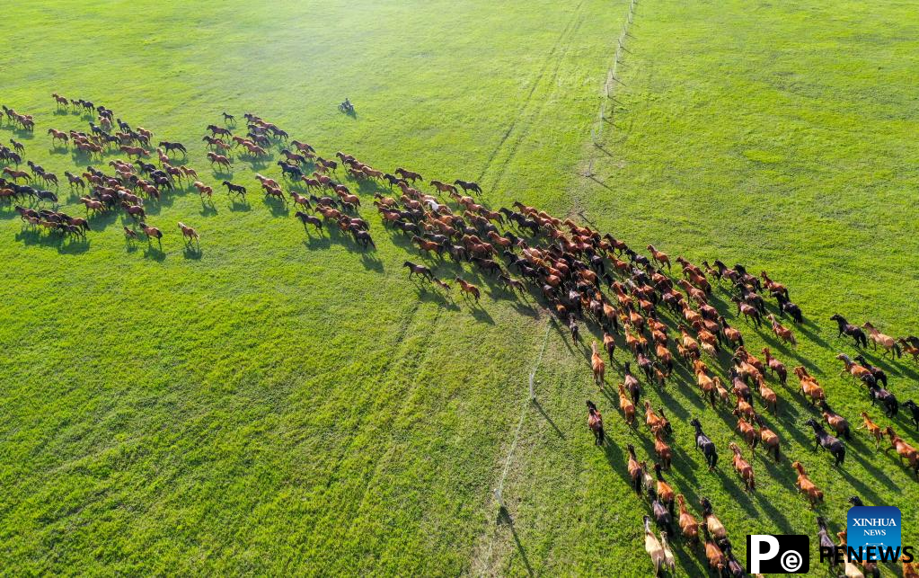 Scenery of grassland in Holin Gol, N China