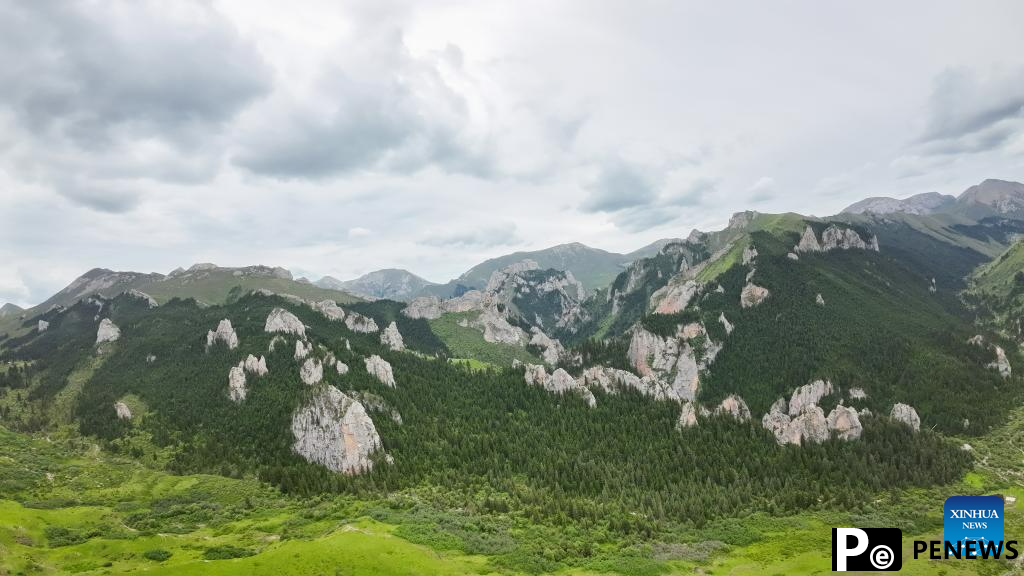 Scenery of Zecha stone forest scenic spot in Luqu County, NW China