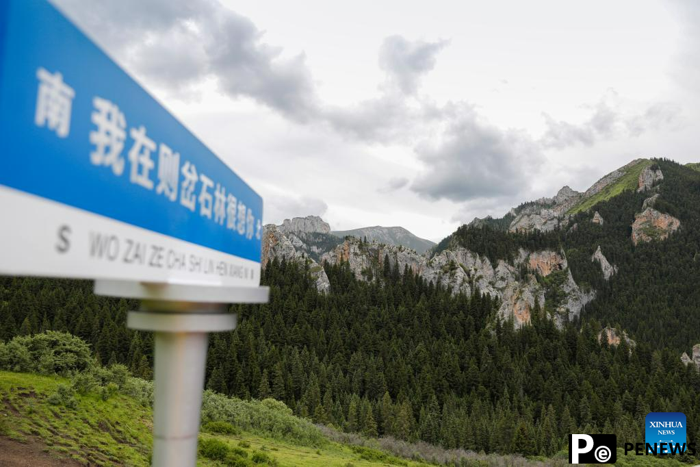 Scenery of Zecha stone forest scenic spot in Luqu County, NW China