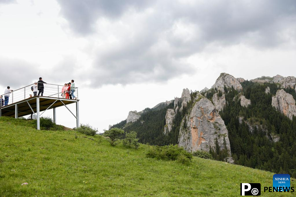 Scenery of Zecha stone forest scenic spot in Luqu County, NW China