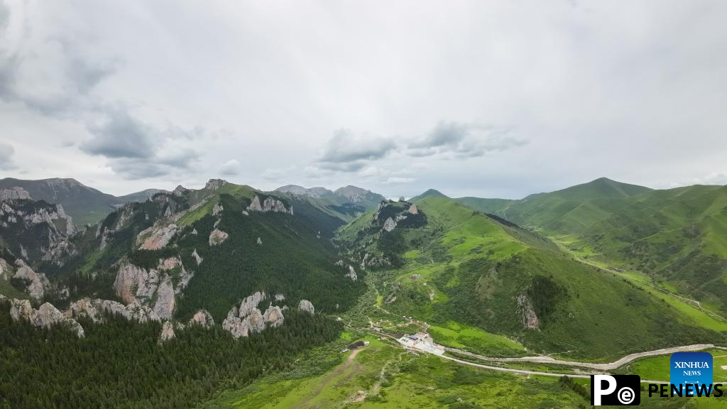 Scenery of Zecha stone forest scenic spot in Luqu County, NW China