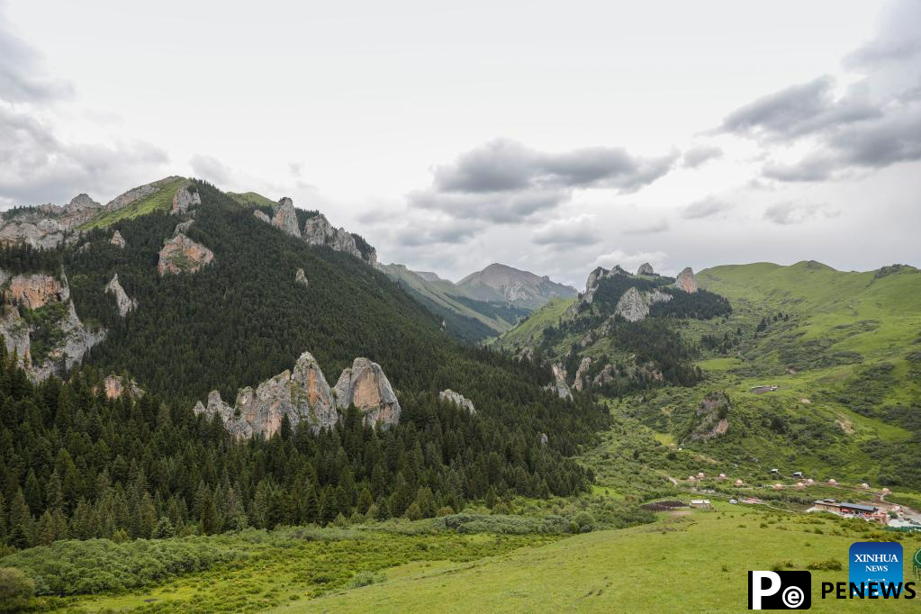 Scenery of Zecha stone forest scenic spot in Luqu County, NW China