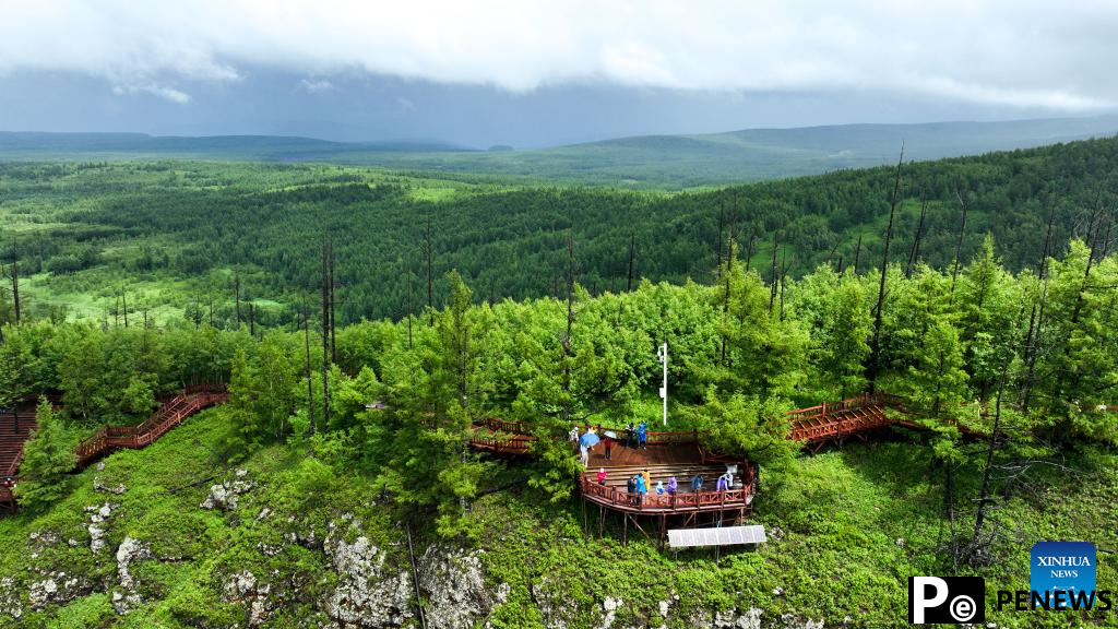 Scenery of Arxan National Forest Park in north China