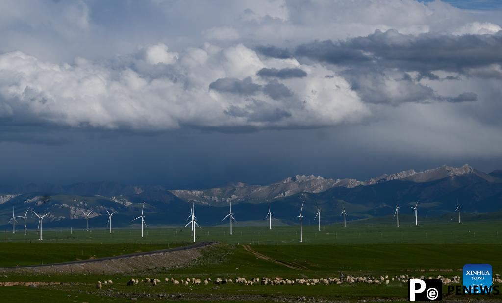 Scenery of grassland in Tianjun County, NW China