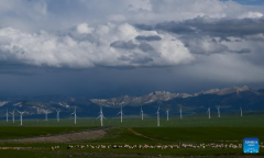 Scenery of grassland in Tianjun County, NW China's Qinghai