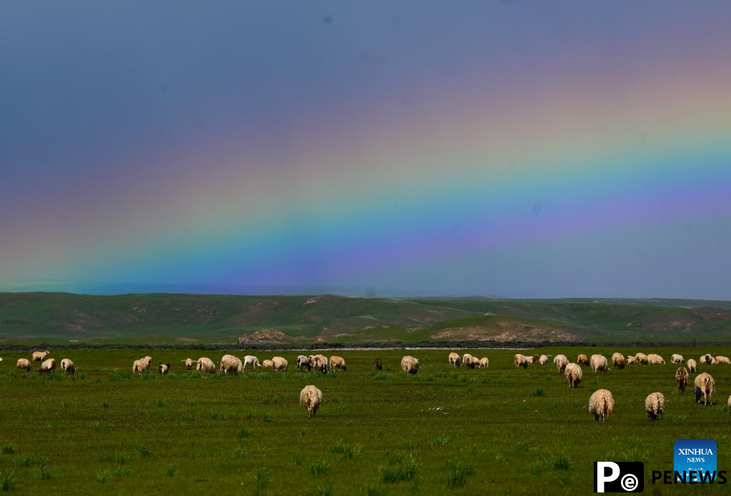 Scenery of grassland in Tianjun County, NW China