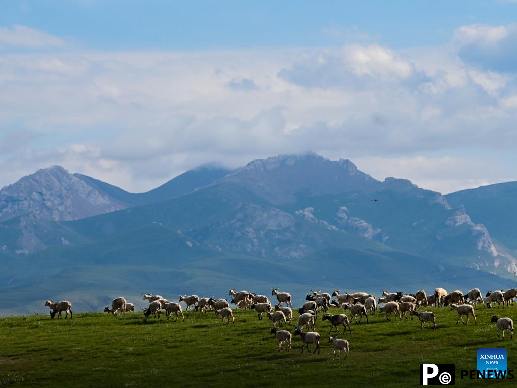 Scenery of grassland in Tianjun County, NW China