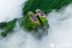 Discover the stunning beauty of Mount Fanjing in SW China's Guizhou