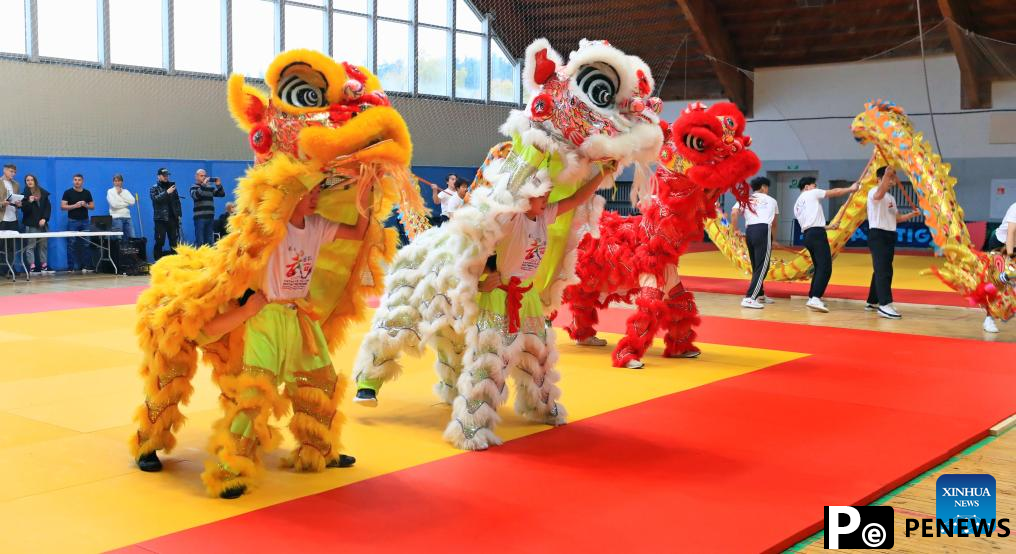 Chinese martial arts championship held in Minsk, Belarus