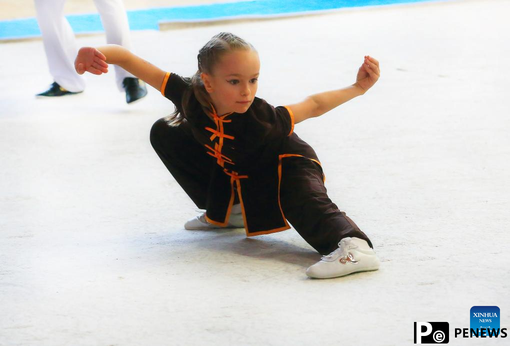 Chinese martial arts championship held in Minsk, Belarus