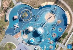 Shenzhen strives to build child-friendly city with characteristics