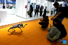 AI technology attracts visitors at CIIE