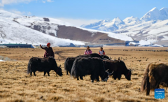 School life in Damxung County, China's Xizang