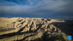 In pics: landscape of earth forest in China's Tibet