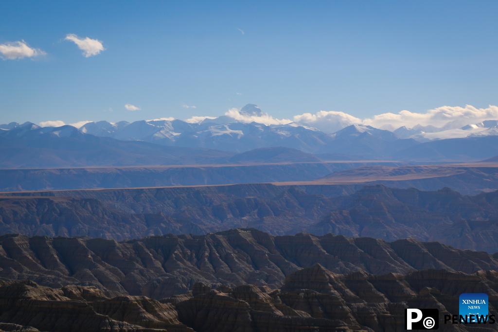 In pics: landscape of earth forest in China