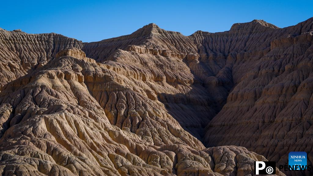 In pics: landscape of earth forest in China