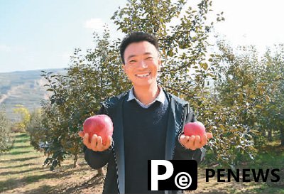 Apples, potatoes become cash cows in county of NW China