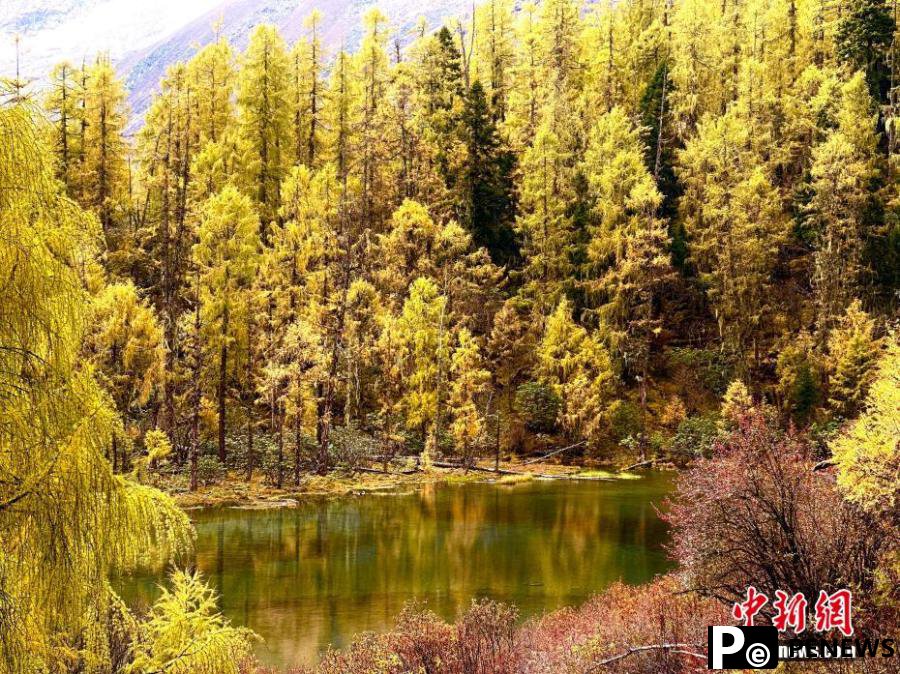 Fairyland scenery at Majiagou valley in Sichuan
