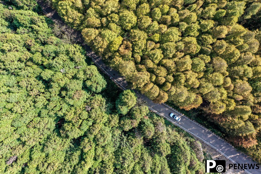 Rural tourism route injects new momentum into countryside in SW China