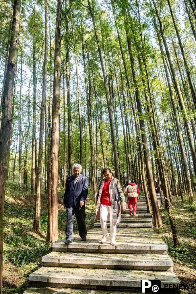 Rural tourism route injects new momentum into countryside in SW China