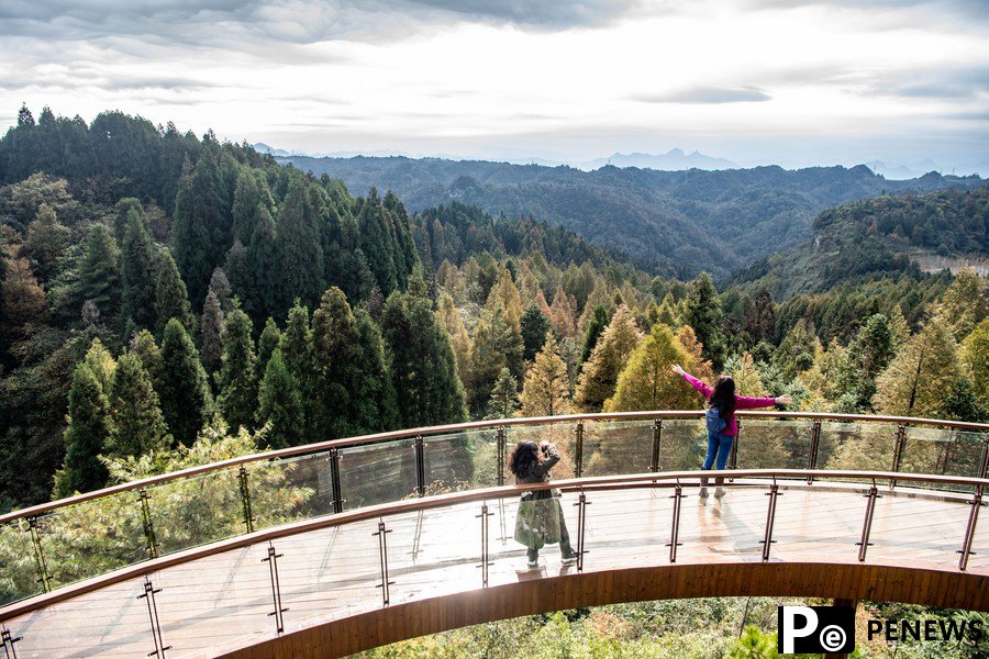 Rural tourism route injects new momentum into countryside in SW China