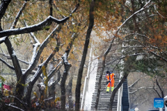 View of snow-covered Harbin in NE China