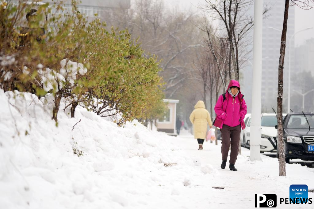 View of snow-covered Harbin in NE China