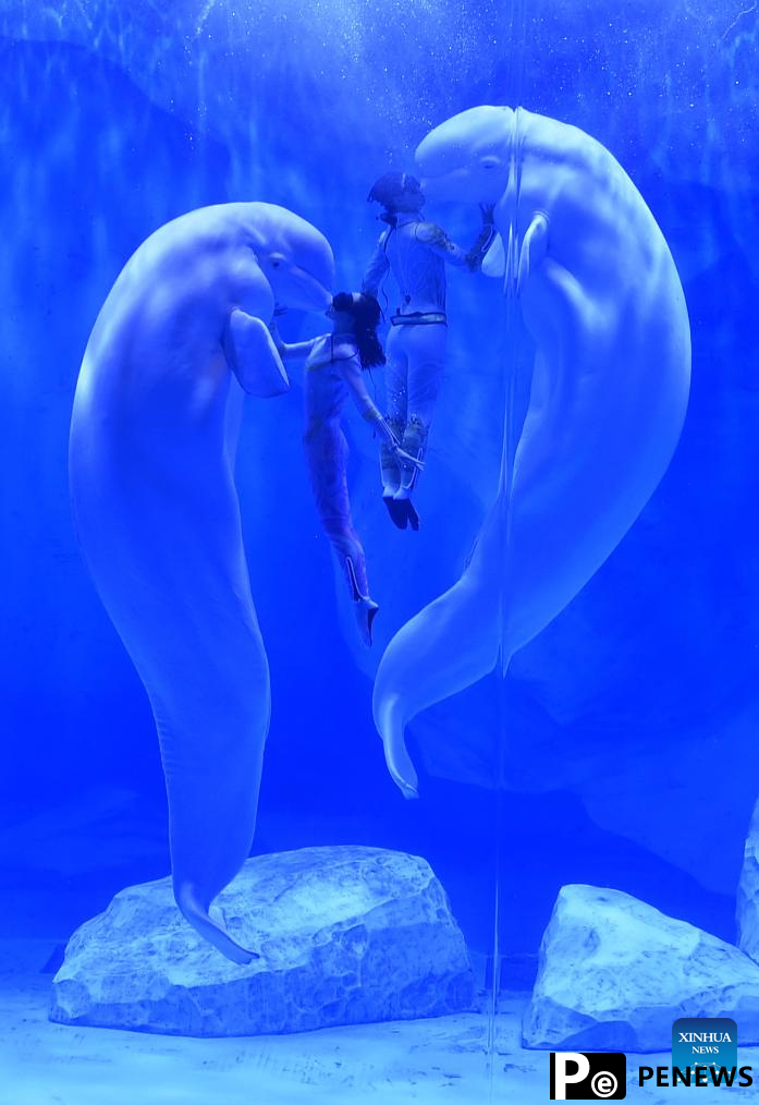 Staff members and beluga whales perform at Zhengzhou Haichang Ocean Resort