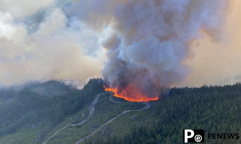 Forest fires should be included in carbon emission accounting system: Chinese scientists