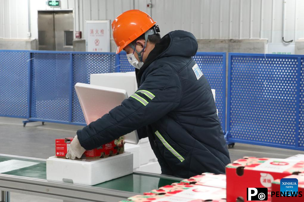 4,800 tonnes of Chilean cherries shipped to Guangzhou via express service