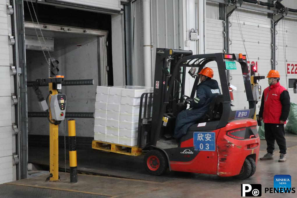 4,800 tonnes of Chilean cherries shipped to Guangzhou via express service