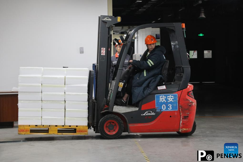 4,800 tonnes of Chilean cherries shipped to Guangzhou via express service