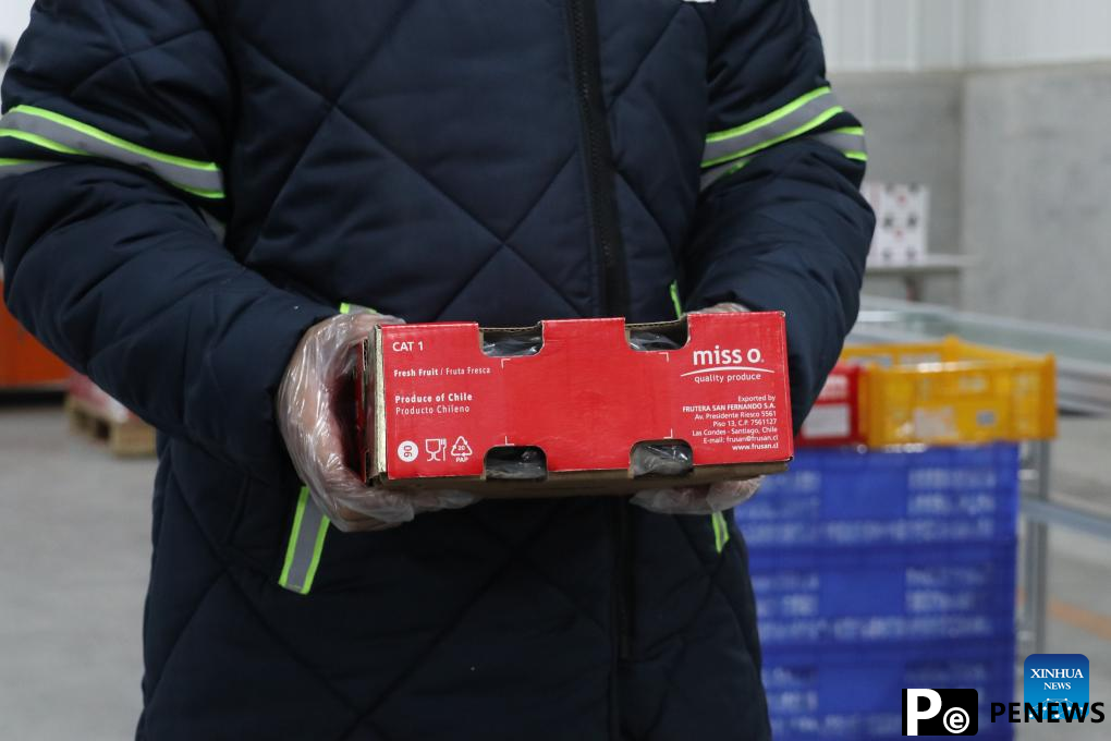 4,800 tonnes of Chilean cherries shipped to Guangzhou via express service