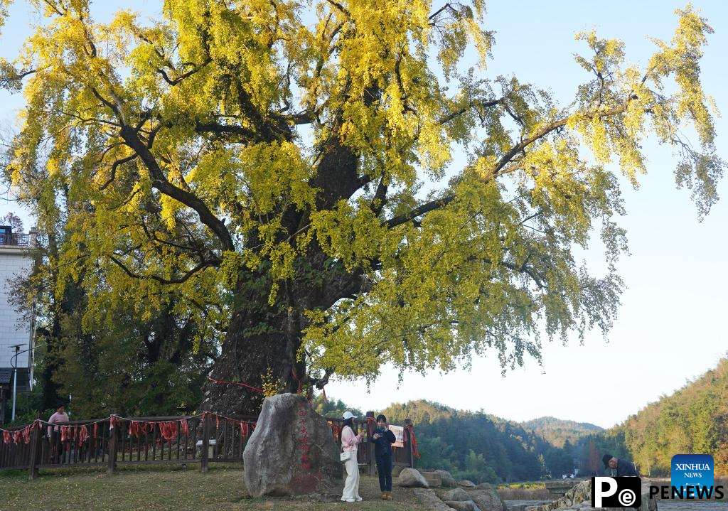 In pics: Meiling national forest park in Nanchang, E China