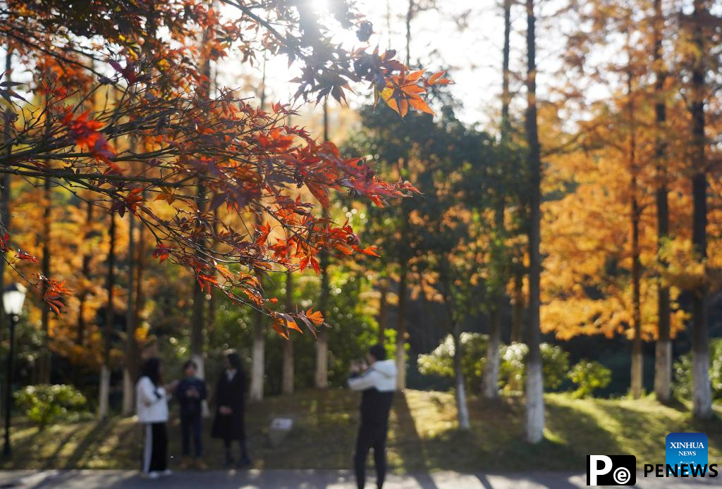 In pics: Meiling national forest park in Nanchang, E China