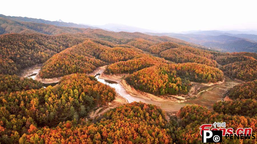 Reservoir, colorful forest create stunning landscape in Sichuan