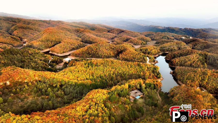 Reservoir, colorful forest create stunning landscape in Sichuan