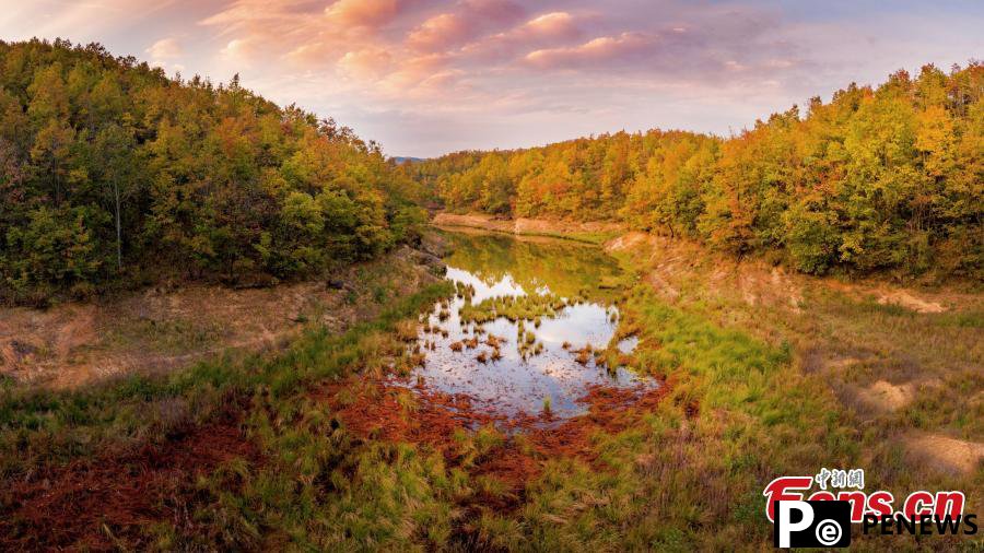 Reservoir, colorful forest create stunning landscape in Sichuan