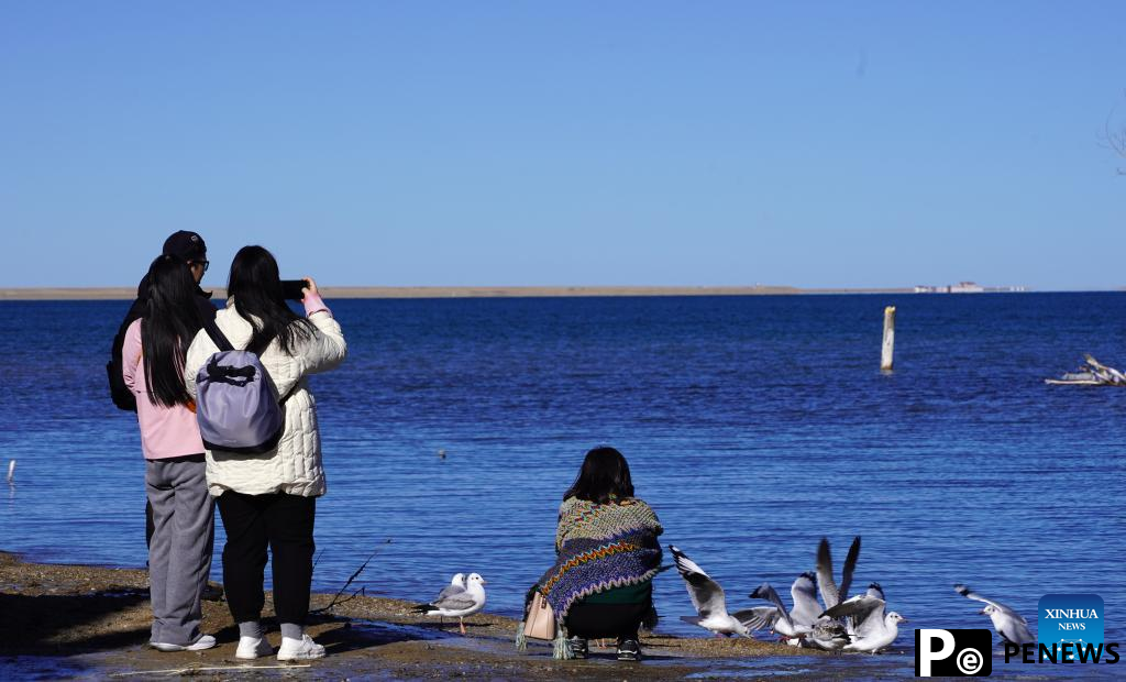 Winter scenery of Qinghai Lake