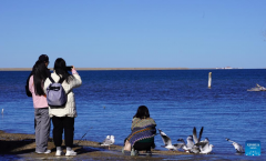 Winter scenery of Qinghai Lake