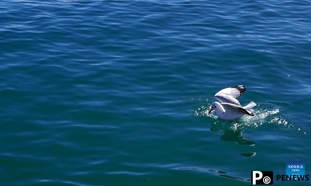 Winter scenery of Qinghai Lake