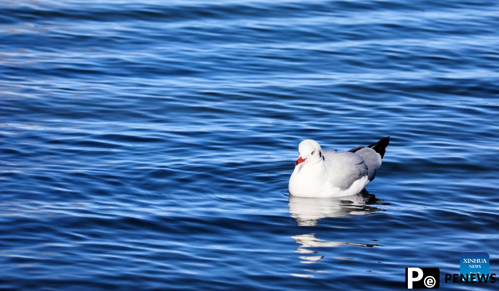 Winter scenery of Qinghai Lake