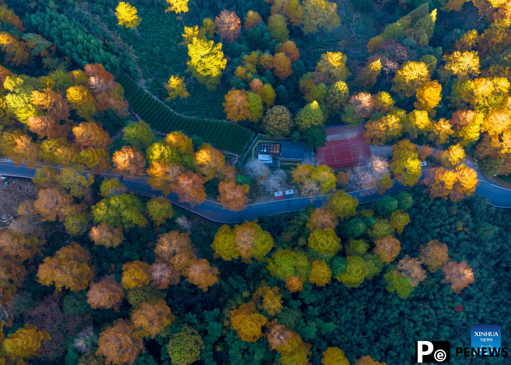 Autumn scenery across China