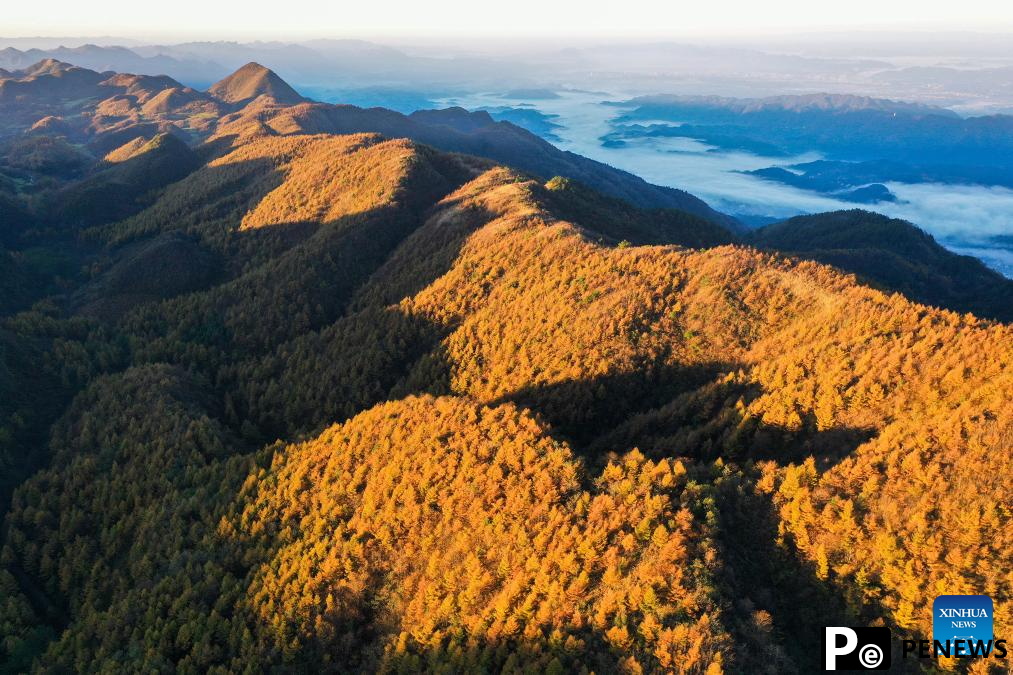 Autumn scenery across China